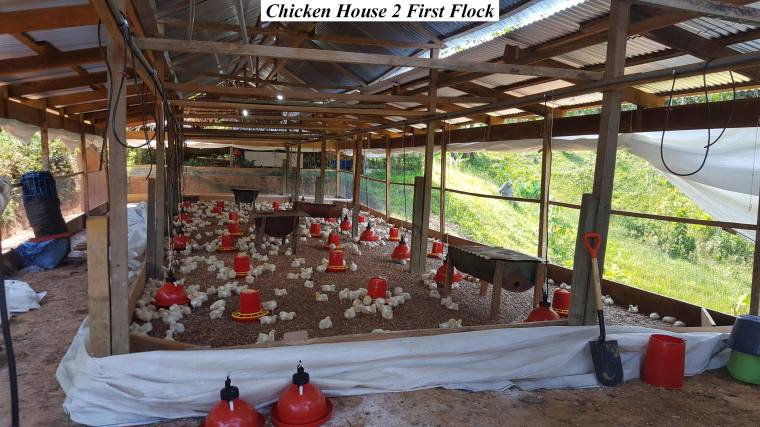 43687227_246403646219897_4237756437536702464_n