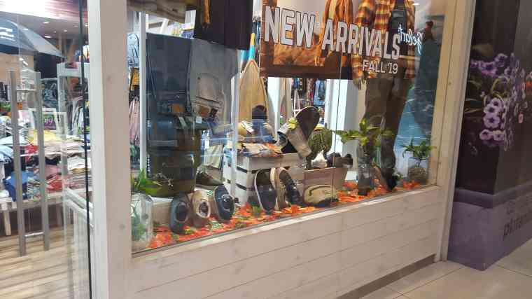 Webp.net-resizeimage (5)