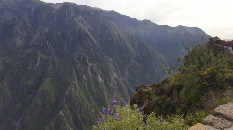 20190406_085903_800x450