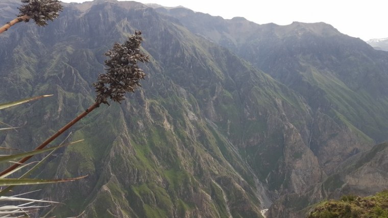 20190406_090713_800x450