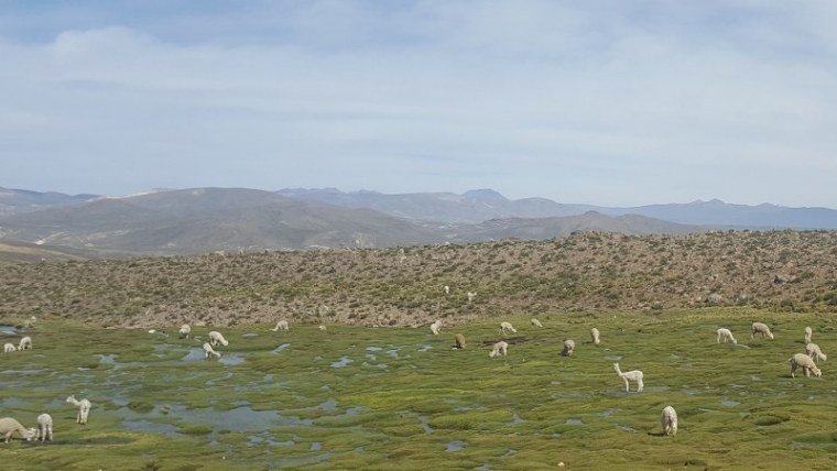 20190406_143348a_800x451