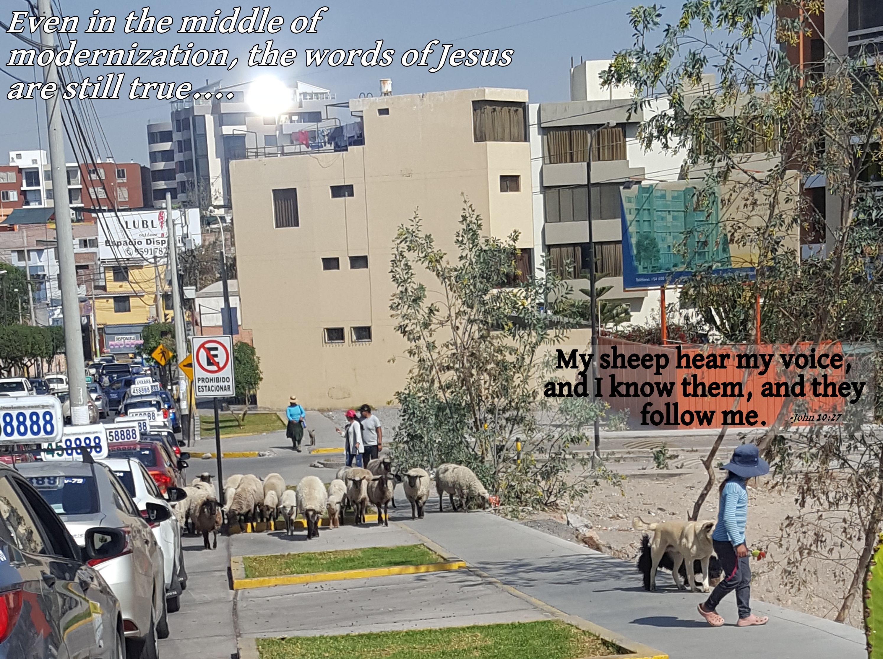 20190824_093659b (1)