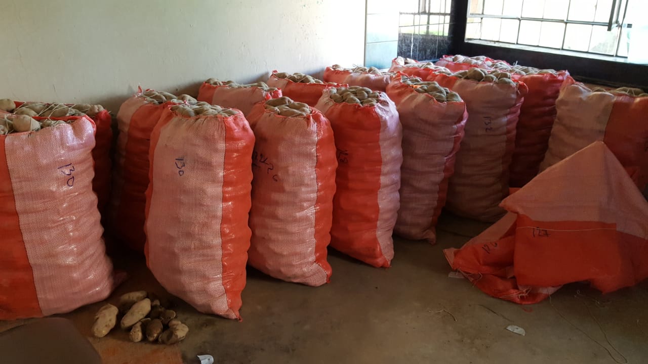 WhatsApp Image 2020-05-11 at 3.43.25 PM